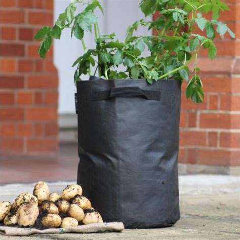 Potato Planting Bags Harrod Horticultural Uk