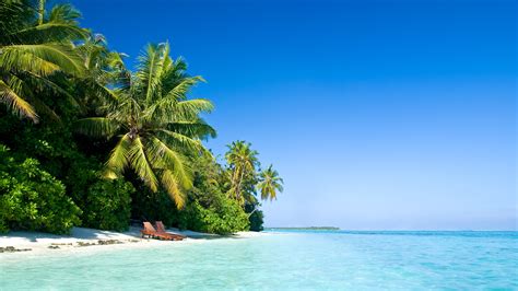 Fondos De Pantalla Maldivas Palmeras Playa Silla Mar Tropical