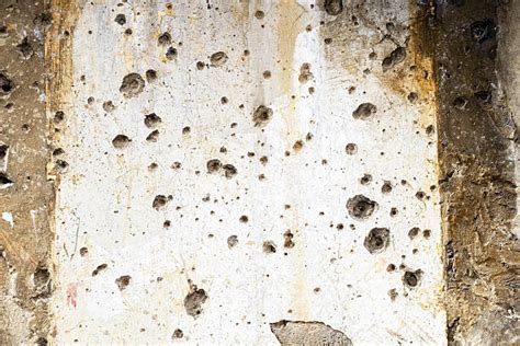 Bullet Holes In Wall Stock Photos Pictures And Royalty Free Images Istock