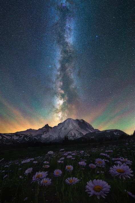The Night Sky Over Mt Rainier And A Field Of Wildflowers Oc