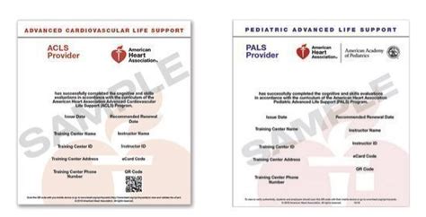 Cpr Florida Acls Pals Certification Training Classes American Heart