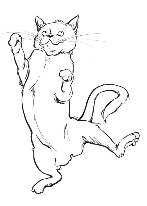 Cat Jumping Drawing At Getdrawings Free Download