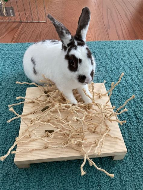 Bunny Wood Sisal Digging Toy Small Pet Chew Toy Rabbit Etsy Uk