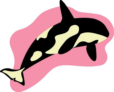 Killer Whale Isolated Illustration Cute Whale On Pink Spot On White