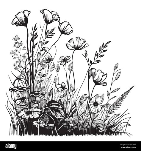 Silhouette Wild Flowers Sketch Hand Drawn Sketch In Doodle Style Vector