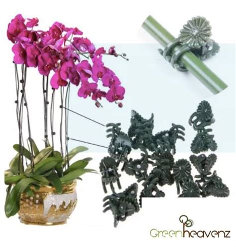 Gnc 10 Stick 50cm Orchid Stem Support Metal Stakes Wire With 40 Clips