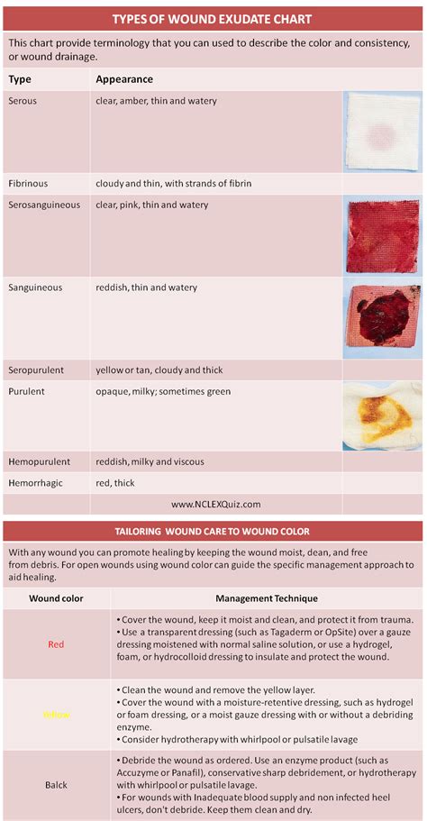 Types Of Wound Exudate Cheat Sheet Home Health Nurse Wound Care