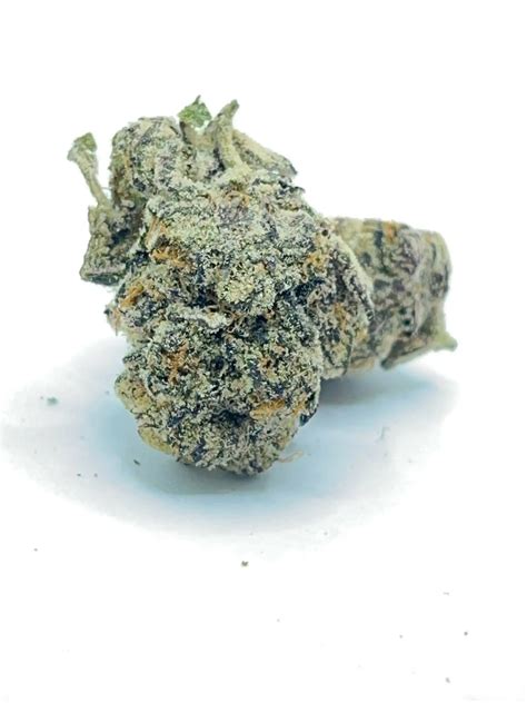 New Afghani Stardawg Strain Review From Hdigw