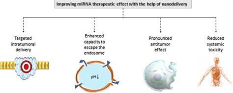 Enhanced Therapeutic Effect Of Mirna Through Nanoparticles First