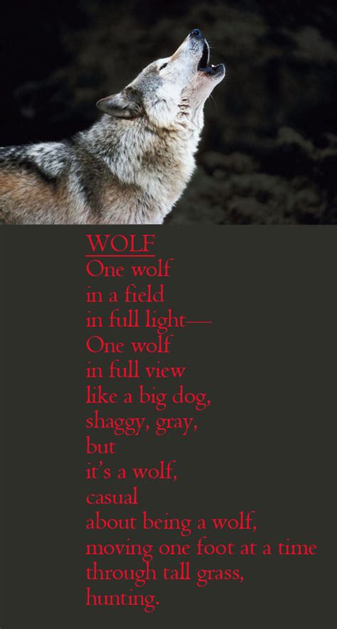 Wolf Love Poem Submited Images