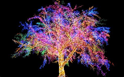 The Magic Tree Paulomi Mukherjees Blog