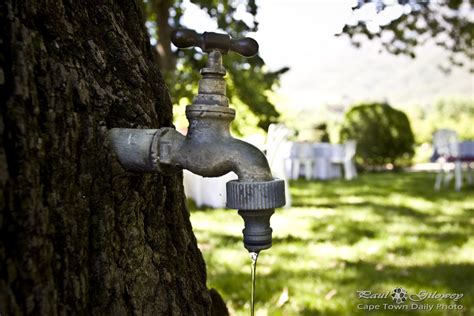 Open Gardens Tree Tap Cape Town Daily Photo
