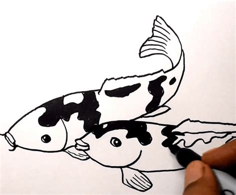 Cara Membuat Sketsa Gambar Ikan Lele, Cek Komposisinya Juga!