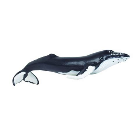 Humpback Whale Sea Life Safari Ltd Ocean Mammal Whale Humpback Whale