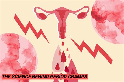The Science Behind Period Cramps And How To Manage Them
