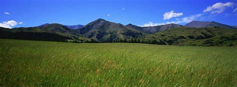 Panorama Of Grassy Plains And Wide Landscape South Island New Zealand