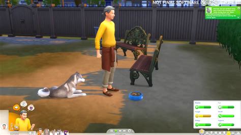 Sims 4 Cats And Dogs Download Gamefabrique
