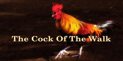 the cock of the walk assignment point