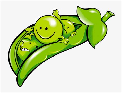 Peas Clipart At Getdrawings Free Download