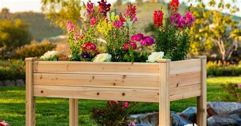 Compare prices & read reviews. Raised Garden Planter Stand Only $86.99 Shipped (Regularly ...