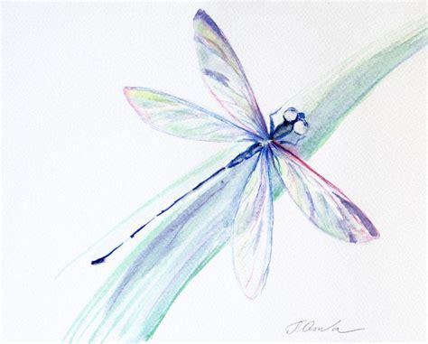 Watercolor Dragonfly Tattoo Dragonfly Artwork Dragonfly Painting
