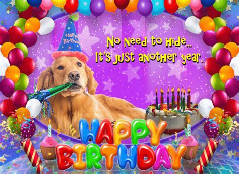 No Need To Hide Free Funny Birthday Wishes Ecards Greeting Cards