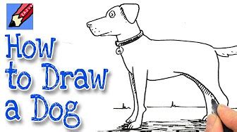 How to draw dogs like a pro. How to draw animals real easy - YouTube