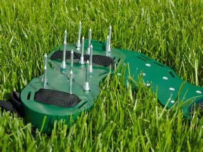 Maybe you would like to learn more about one of these? Home Lawn Aerating - Why Would You Want To Have It Done?