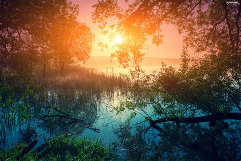 Trees Lake Sunrise Viewes For Desktop Wallpapers 2560x1706