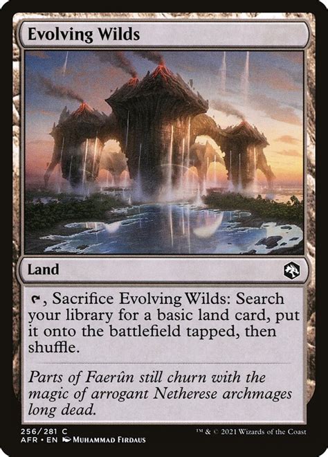 Evolving Wilds Afr 256 Magic The Gathering Card