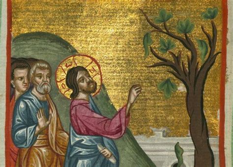 The Parable Of Fig Tree Art