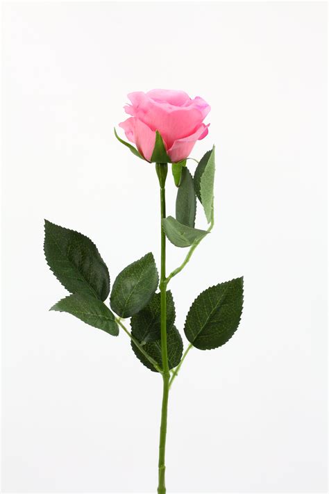 Rose Stem Half Bloom Pink 55cm Real Touch Floralistic