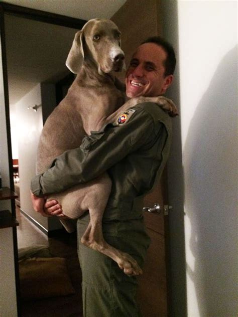 26 Dogs Hugging Their Humans Dogs Our Best Friends