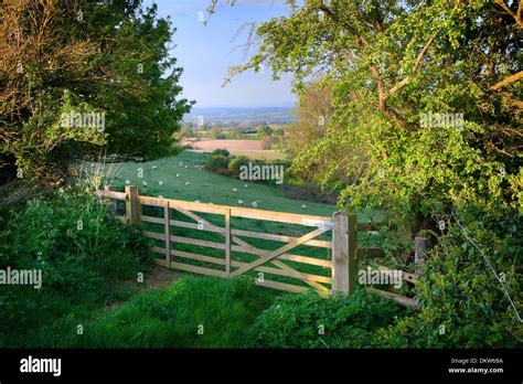 View Over Farm Gate Towards Pretty English Countryside Cotswolds