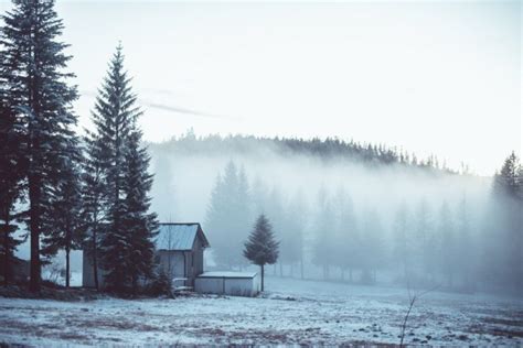 Winter Landscape Mist Trees Wallpapers Hd Desktop And Mobile