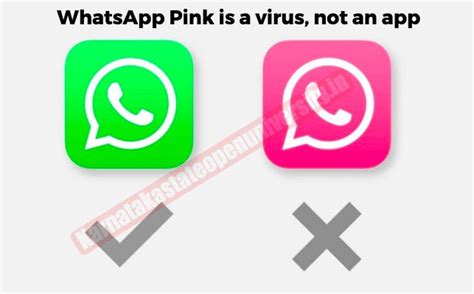 Downloaded Whatsapp Pink Virus By Mistake Heres What You Can Do To Fix