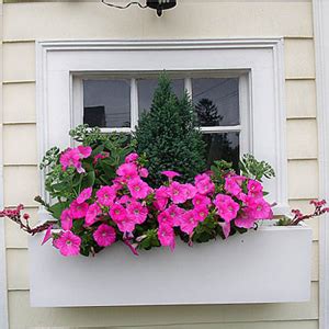 (1.0) out of 5 stars 3 ratings, based on 3 reviews. Modern White Window Boxes