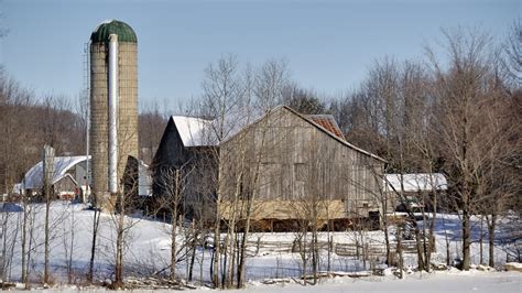 Dairy Farm In Winter Halton Hills Ontario Dsc2945 Anx2 Edk7