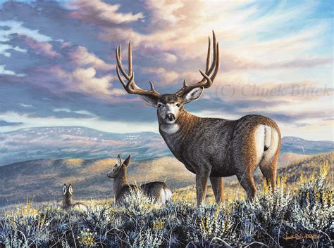 Mule Deer Buck Art Print The Inspiration Wildlife And Art