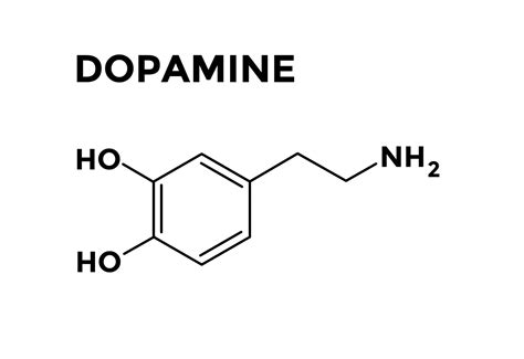 Dopamine Nfb Santé Suisse