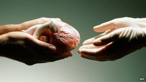 Organ Donation Plea From Heart Transplant Girl Bbc News