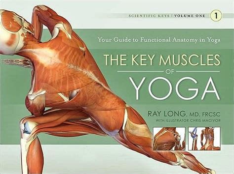 The Key Muscles Of Yoga Your Guide To Functional Anatomy In Yoga By