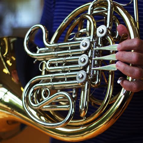 French Horn Dawson Music Academy