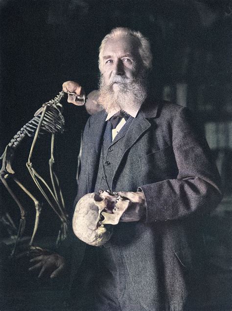 Ernst Haeckel And The Phyletic Museum Scihi Blog