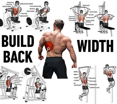 Back Exercises Fitness And Bodybuilding Lifestyle Weight Loss Story