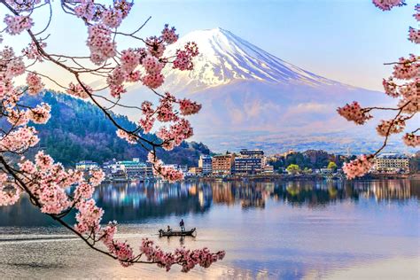 Ngỡ Ngàng Ngắm Hoa Anh đào Tuyệt đẹp Bao Trùm Núi Phú Sĩ Blue Sky Travel
