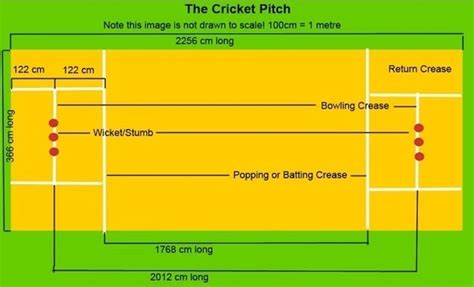 Cricket Pitch Length Types Dimensions Shape And Size Diagram Of Pitch