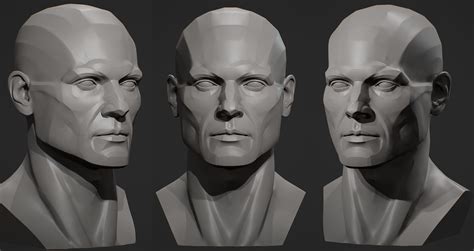 Planes Of The Head Male 3d Print Model Cgtrader