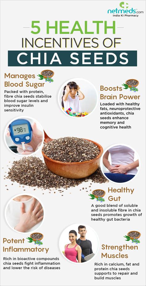 Chia Seeds 5 Healthy Reasons To Add This Nutrient Dense Seed In Your Diet Infographic