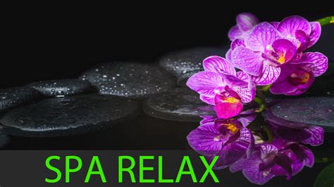 8 Hours Best Relaxing Music Spa Music Massage Zen Healing Music